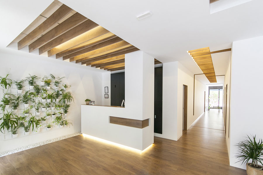 entrada y recepcion de ECCO